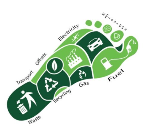 Measure your carbon footprint | Gemrock International