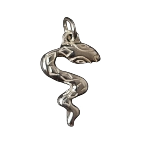 Snake Silver pendant