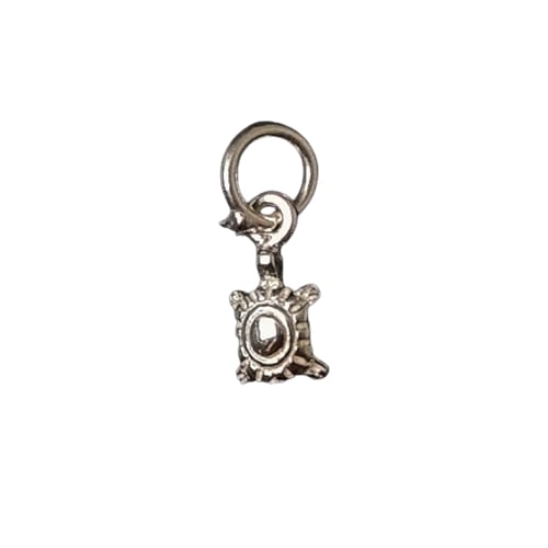 Turtle Silver Charm